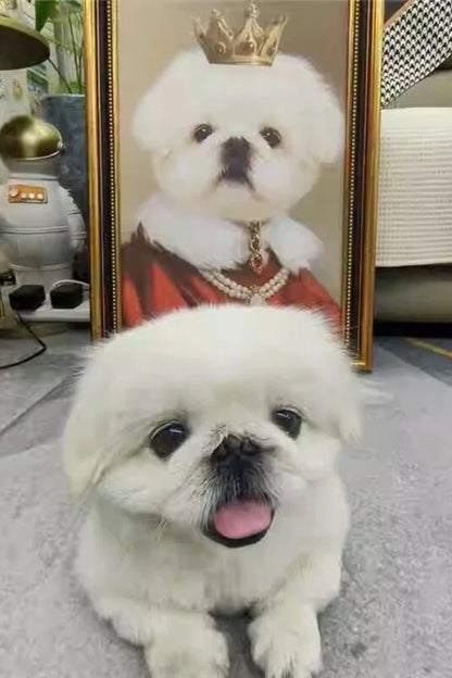 The Royal in Crimson- Custom Pet King Portrait