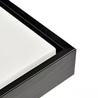 Peek-a-Boo Custom Modern Pet Portrait