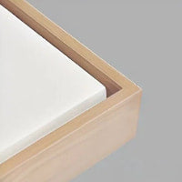 Peek-a-Boo Custom Modern Pet Portrait