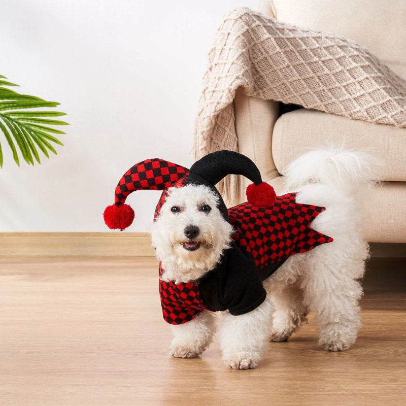 Soft Fabric Jester Pet Costume