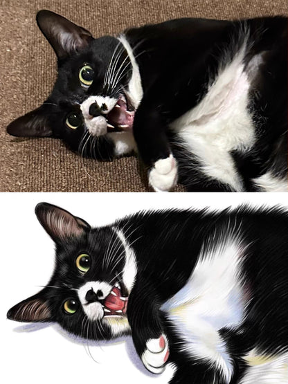 Custom Colored Pencil Pet portrait